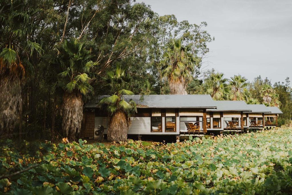 The Boathouses At Leaves & Fishes เลิฟเดล ภายนอก รูปภาพ
