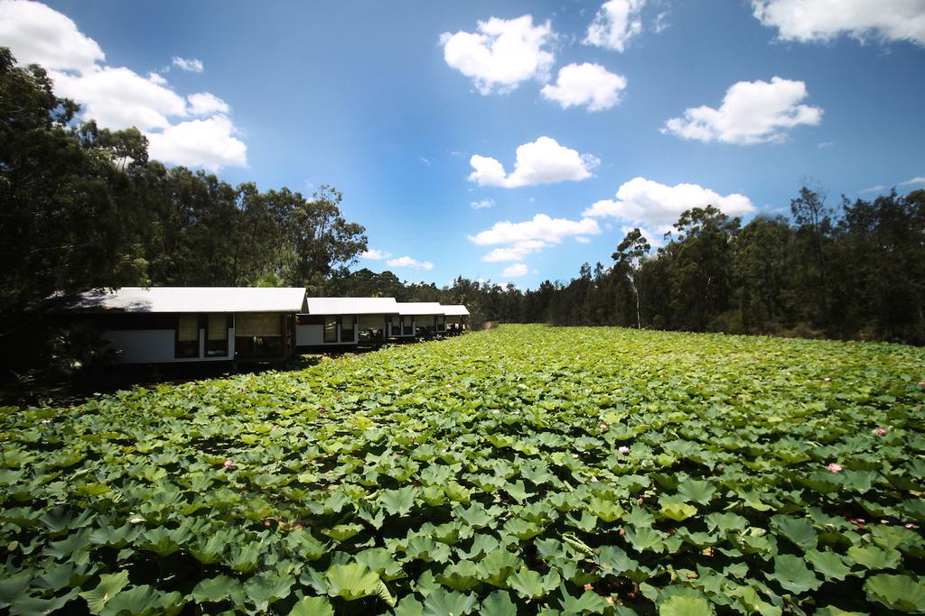 The Boathouses At Leaves & Fishes เลิฟเดล ภายนอก รูปภาพ